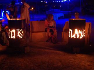 Felis Flamus Burn Barrels